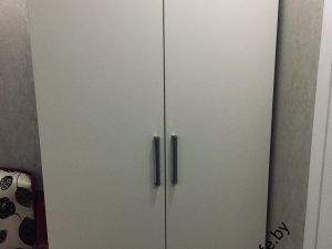 Корпусный шкаф, распашной (Арт 0041)